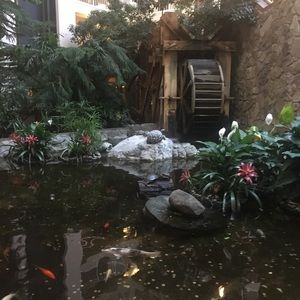 Meet your Posher, Elias